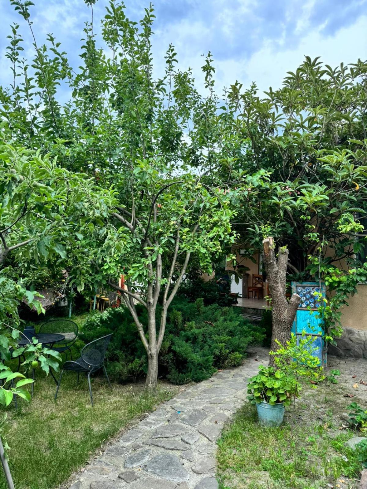 泰拉维 埃托奥宾馆酒店 外观 照片