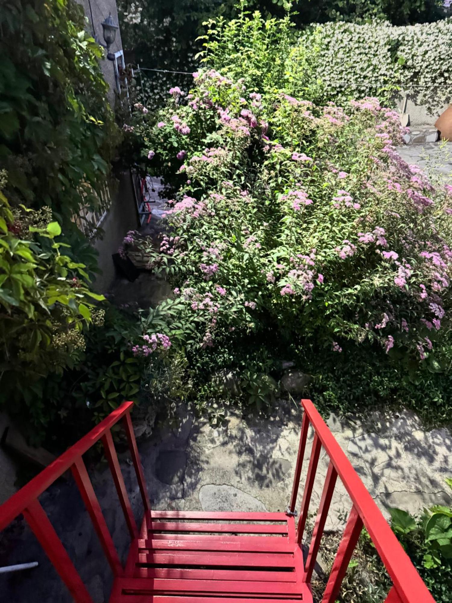 泰拉维 埃托奥宾馆酒店 外观 照片
